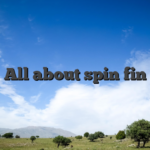 All about spin fin
