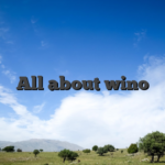 All about wino