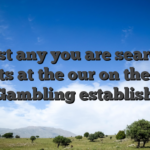 Almost any you are searching for, its at the our on the web Live Gambling establishment