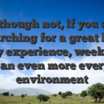 Although not, if you are searching for a great less noisy experience, weekdays give an even more everyday environment