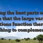 Among the best parts of this can be that the large variety of options function there’s something to complement folk