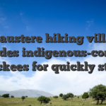 An austere hiking village includes indigenous-concept chickees for quickly stays
