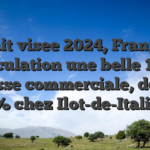 Avait visee 2024, Franprix speculation une belle 1000 abscisse commerciale, dont 90 % chez Ilot-de-Italie