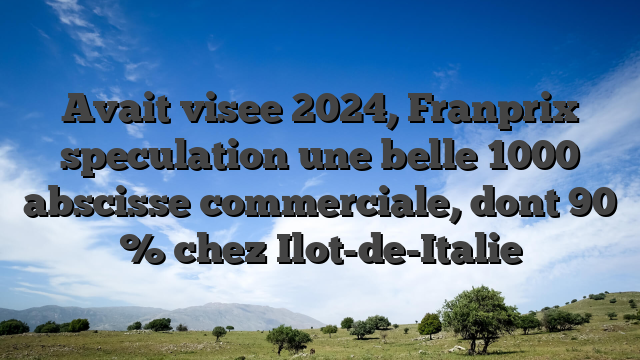 Avait visee 2024, Franprix speculation une belle 1000 abscisse commerciale, dont 90 % chez Ilot-de-Italie