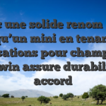 Avec une solide renom ainsi qu’un mini en tenant accusations pour champions, Cashwin assure durabilite ou accord