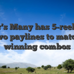 Aztec’s Many has 5-reels and two paylines to match winning combos