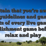 Be certain that you’re aware of the guidelines and gaming aspects of every live gambling establishment game before to relax and play