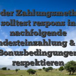 Bei der Zahlungsmethode solltest respons in nachfolgende Mindesteinzahlung & die Bonusbedingungen respektieren