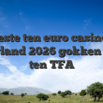 Beste ten euro casinos Nederland 2026 gokken vanaf ten TFA