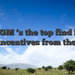 BetMGM ‘s the top find for no put incentives from the You
