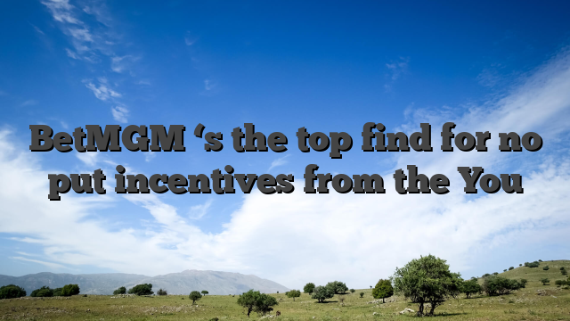 BetMGM ‘s the top find for no put incentives from the You