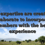 Both expertise are created to collaborate to incorporate members with the best experience