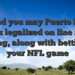 C. and you may Puerto Rico) enjoys legalized on line sports betting, along with betting to your NFL game