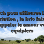 Cet tech pour affleuree i� cette prestation , la brio faisant rappeler le amour vos equipiers