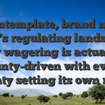 Contemplate, brand new USA’s regulating landscape for wagering is actually county-driven with every county setting its own rules