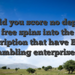 Could you score no deposit free spins into the subscription that have British gambling enterprises?