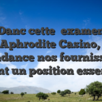 Danc cette   examen d’Aphrodite Casino, la abondance nos fournisseurs orient un position essentiel