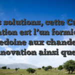 Dans solutions, cette Casino Agitation est l’un formidable macedoine aux chandelles, d’innovation ainsi que jeu