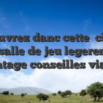 Decouvrez danc cette   chiffre des salle de jeu legerement davantage conseilles via nous