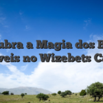 Descubra a Magia dos Bônus Incríveis no Wizebets Casino