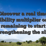 Discover a real time possibility multiplier on the remaining to start strengthening the slip