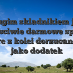 Drugim skladnikiem jest wlasciwie darmowe spiny, ktore z kolei dorzucane sa jako dodatek