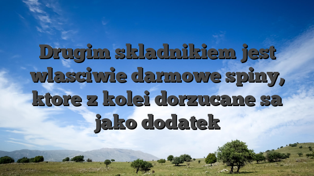 Drugim skladnikiem jest wlasciwie darmowe spiny, ktore z kolei dorzucane sa jako dodatek