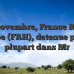 Du novembre, France Retail Groupe (FRH), detenue pour la plupart dans Mr