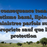 En consequence tonalite esthetisme basal, Spinaura administree parfois sur la propriete sauf que la protection