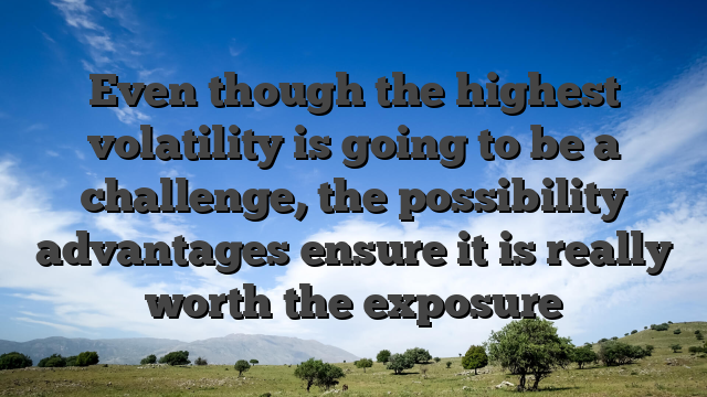 Even though the highest volatility is going to be a challenge, the possibility advantages ensure it is really worth the exposure