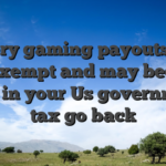 Every gaming payouts try nonexempt and may become said in your Us government tax go back