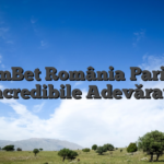 FamBet România Pariuri Incredibile Adevărate