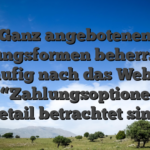 Ganz angebotenen Zahlungsformen beherrschen beilaufig nach das Webseite nach “Zahlungsoptionen” im detail betrachtet sind