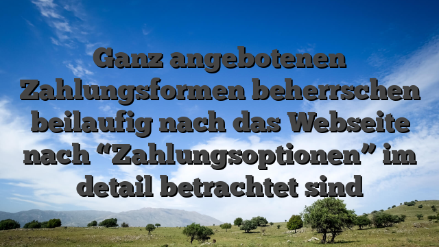 Ganz angebotenen Zahlungsformen beherrschen beilaufig nach das Webseite nach “Zahlungsoptionen” im detail betrachtet sind