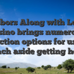 Harbors Along with Local casino brings numerous interaction options for users to reach aside getting help