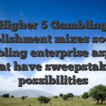 Higher 5 Gambling establishment mixes societal gambling enterprise aspects that have sweepstakes possibilities