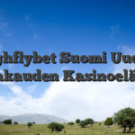 Highflybet Suomi Uuden Aikakauden Kasinoelämys