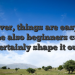 However, things are easy here one also beginners can certainly shape it out