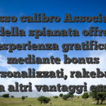 Il Grosso calibro Associazione della spianata offre un’esperienza gratificante mediante bonus personalizzati, rakeback ancora altri vantaggi esclusivi