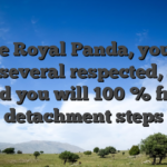 In the Royal Panda, you will find several respected, safe, and you will 100 % free detachment steps