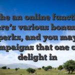 In the an online function, there’s various bonuses, perks, and you may campaigns that one can delight in