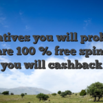 Incentives you will probably find are 100 % free spins and you will cashback