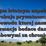 Innym istotnym aspektem probuje prywatnosc, z powodu ktorej nasze informacje bedace danymi osobowymi sa chronione