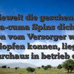 Inwieweit die geschenkten Cuma-cuma Spins dich nun schon vom Versorger weich klopfen konnen, liegt durchaus in betrieb dir