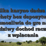 Kilka kasyno dadza ci zachety bez depozytu, co umozliwia do gre na prawdziwy dochod raczej niz z wplacania