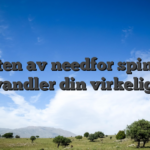 Kraften av needfor spin som forvandler din virkelighet