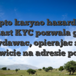 Krypto kasyno hazardowe zamiast KYC pozwala grac i wydawac, opierajac sie calkowicie na adresie portfela