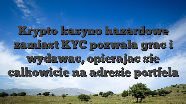 Krypto kasyno hazardowe zamiast KYC pozwala grac i wydawac, opierajac sie calkowicie na adresie portfela