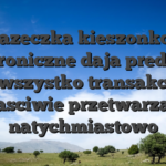 Ksiazeczka kieszonkowa elektroniczne daja predkosc, gdyz wszystko transakcji jest wlasciwie przetwarzana natychmiastowo