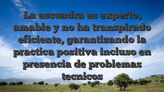 La escuadra es experto, amable y no ha transpirado eficiente, garantizando la practica positiva incluso en presencia de problemas tecnicos